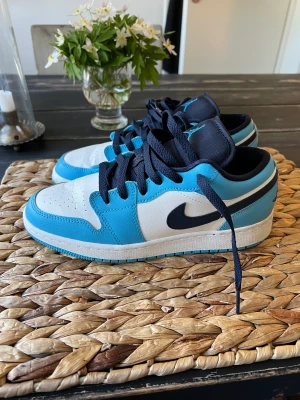 Nike Air Jordan - Nike Air Jordan blå/vit Stl 38 (24 cm) Använda två ggr, nyskick