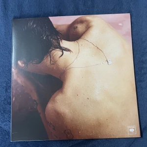 Harry Styles vinylskiva  - Harry Styles vinylskiva. Köpt för 450kr Säljer för 300kr