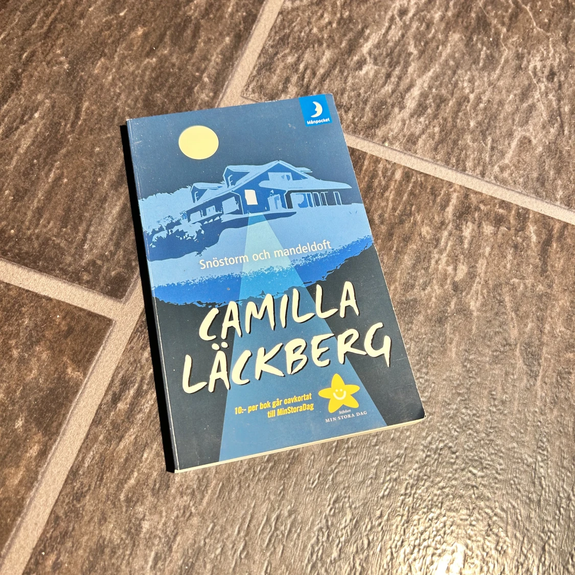 Snöstorm och mandeldoft av Camilla Läckberg, blå - 91