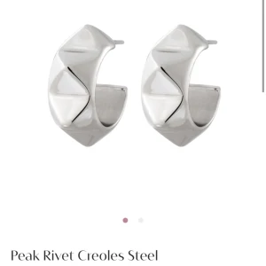 Örhängen Edblad  - Örhängen från Edblad, endast testade.  Nypris 399 men säljer för 250💞