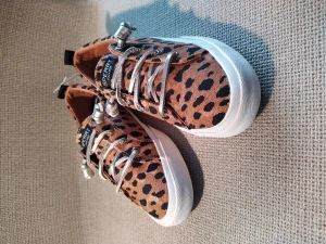 Helt nya Sperry Dam skor 37  - Helt nya Sperry Dam skor 37 