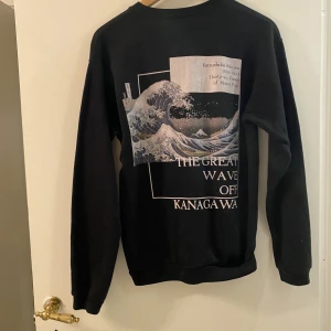 Tröja med tryck - Sweatshirt med coolt tryck bak. Använd 3 gånger. 