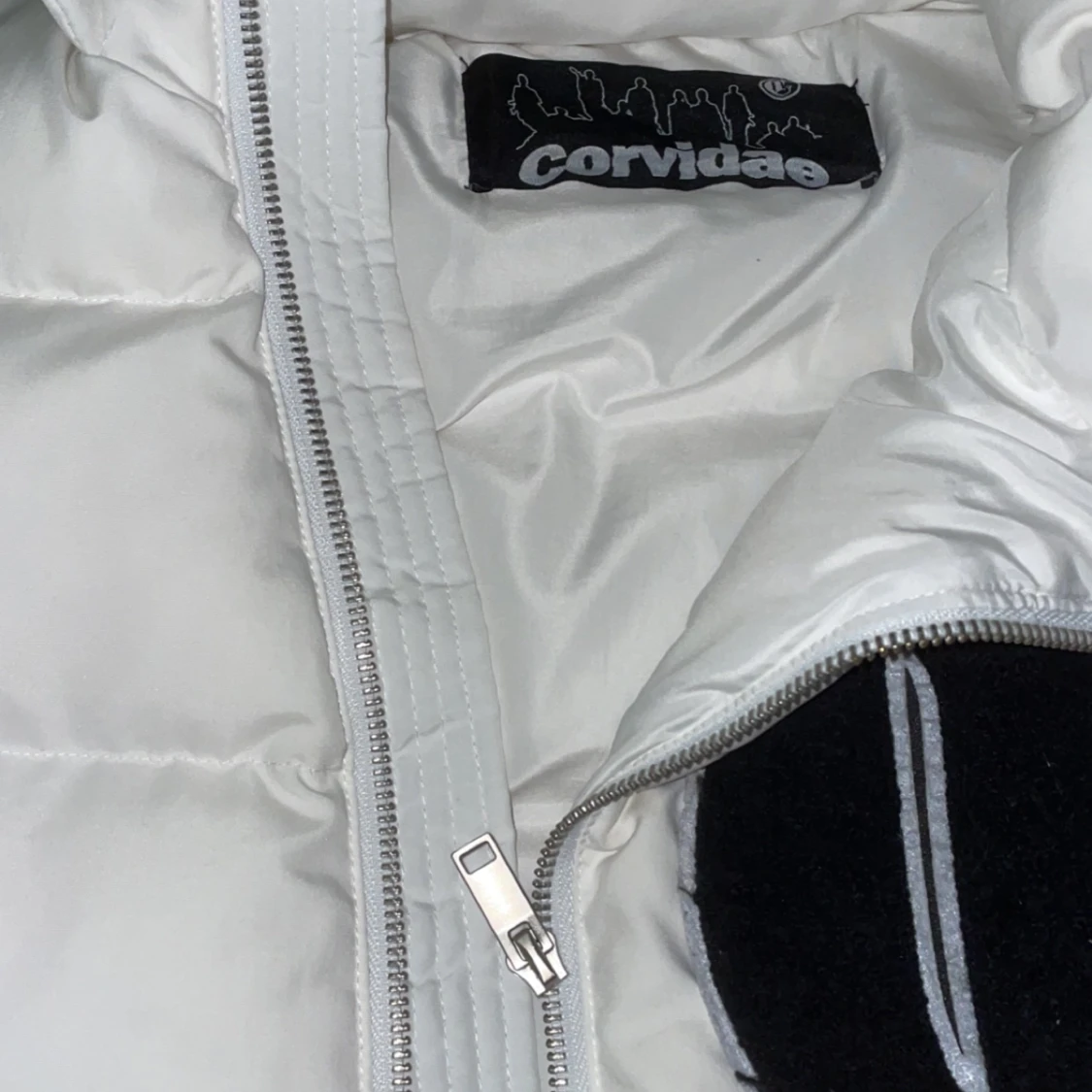 Corvidae jacka Medium storlek - 90