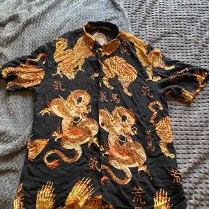 En skjorta med drakar 