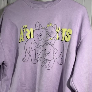 h&m x disney the aristocats sweater - en aristocats sweater från h&m divided i storlek S. den har inga fläckar, men använd och tvättad flera gånger. fint skick!
