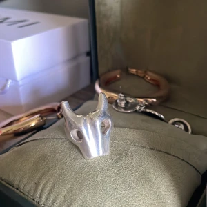 Bravery ring Maria nilsdotter - Vill bara veta hur mkt jag kan få för det och kanske vill sälja. Kan byta också kanske. Fick den i februari så ganska bra skick. Nypris är 3000.