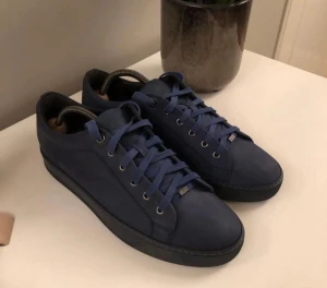 Lanvins - Säljer mina lanvin Sample skor. De är i ett mycket bra skick. Storleken är Uk 8 vilket motsvarar 42 men de passar 43. Skriv privat om fler/bättre bilder.