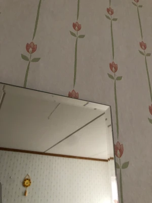 Spegel - 170cm lång och 30cm bred, fin spegel