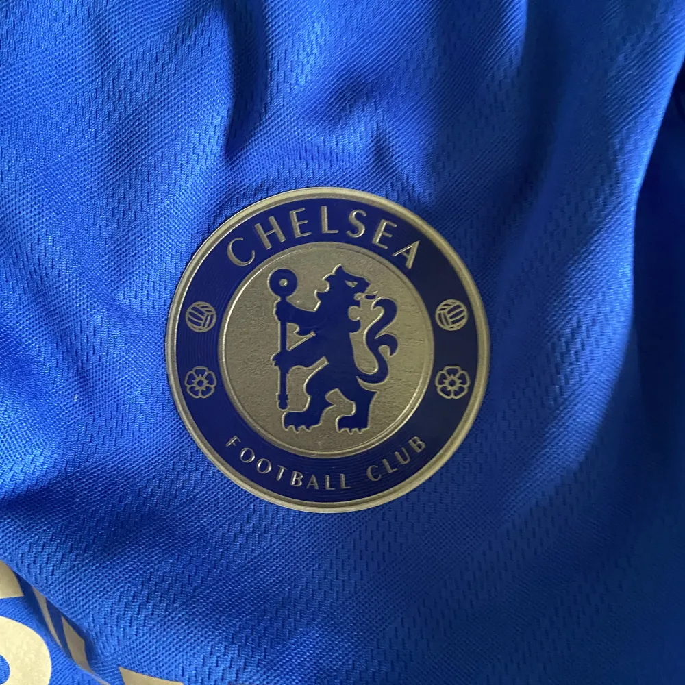 Chelseas hemmatröja från säsongen 12/13 med underbarnet Torres på ryggen⭐️ Skick 10/10. T-shirts.