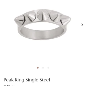 Edblad ring  - Hej! Jag säljer mina Edblad ring för att jag har börjat använda guld smycken istället☺️ den är i bra skick💕 Kan gå ner i pris!