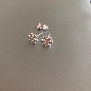 Nya örhänge snöflinga - Nya örhänge snöflinga •silverfärgt material •aldrig använda •Pris: 50 kr 🚭Djurfritt och rökfritt hem 📬Kan skickas mot fraktkostnad(12 kr) 📍Kan mötes upp i Mölnlycke Finns på fler sidor. Först till kvarn. 