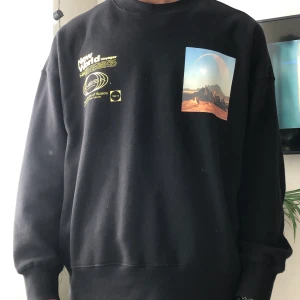 Sweatshirt  - Sweatshirt från H&m. Den är bra i skick och köpte i år. Har inte använd den så mycket. Storlek L. Köparen betalar frakt. 
