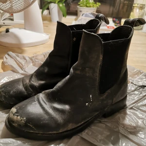 Svarta ridskor - Svarta ridskor Svarta ridskor från Jackson. Har en vit fläck med utefärg på sig, men inget märkbart. Välanvända men i bra skick! Köptes för 399kr, jag säljer för 150kr. Pris kan förhandlas vid snabb affär :) Storlek: 38