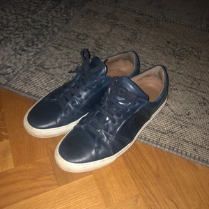 Kurt geiger skor - Säljer mina gamla skor, riktig steal. Köpte dom för 1500kr. Kondition 6/10 inga större fel, lite använda bara