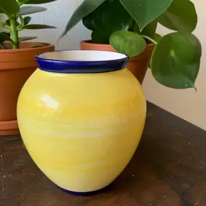 Säljer denna vasen då jag har för många hemma och den kanske passar bättre in i nån annans hem🥰