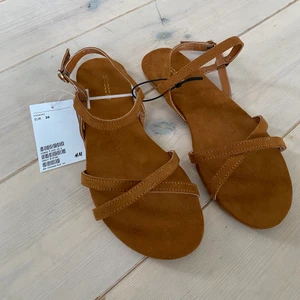 Sandaler  - Ett par snygga, bruna och helt oanvända sandaler från h&m. (Säljer pga köpte två par o behöver bara ett) Storlek 36. För 20kr (+ eventuell frakt) 🤎
