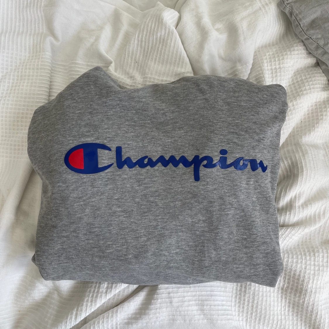 Champion hoodie