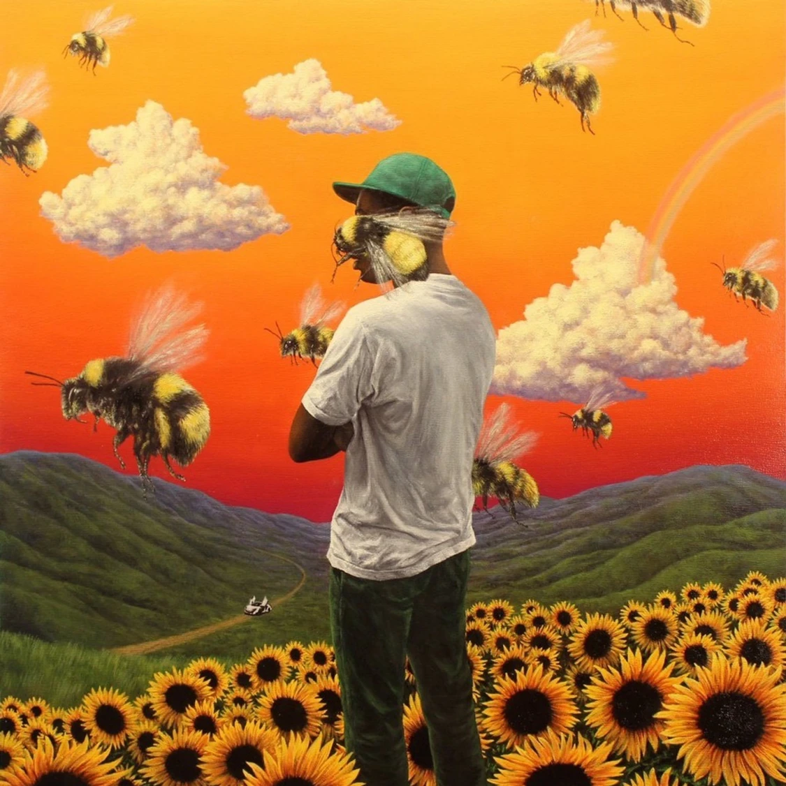 Tyler the creator vinyl🐝🌻