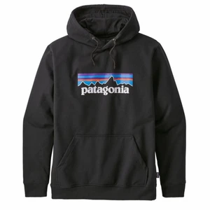 Patagonia hoodie - Jättefin hoodie från patagonia som tyvärr inte kommer till användning! Köpare står för frakten. 