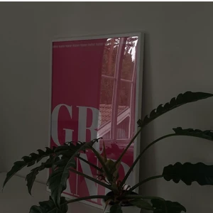 GRAND POSTER - GRAND POSTER i rosa 50x70cm 🤍 (Ram ingår ej)