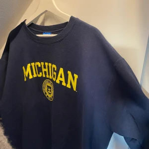 Vintage sweatshirt  - Vintage sweatshirt från Champion ! Sitter nice oversized⭐️ använd men fortfarande väldigt bra skick och mjuk inuti‼️ köparen står för frakten 💓💓 högsta bud 250💓