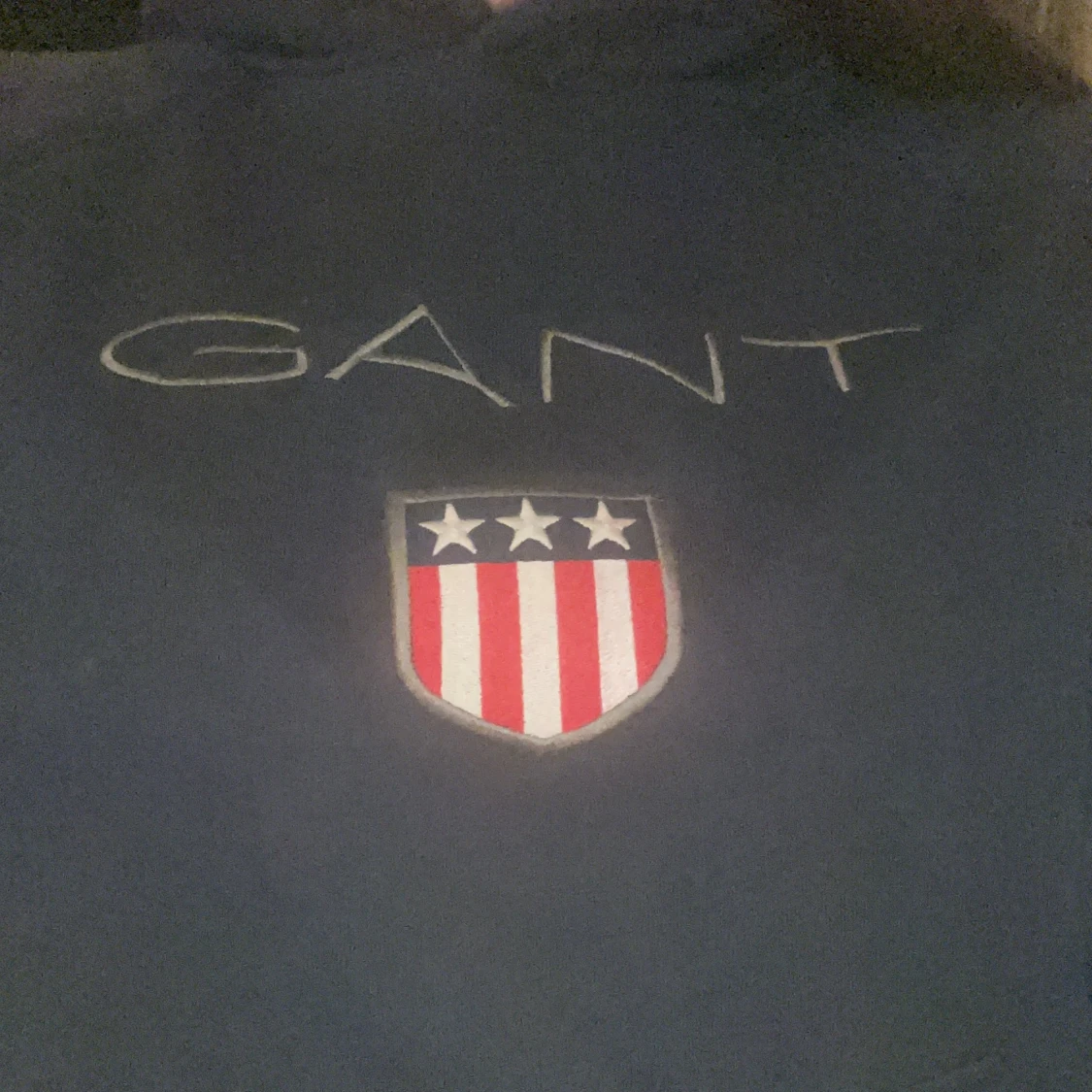 Gant hoodie storlek xs - 91