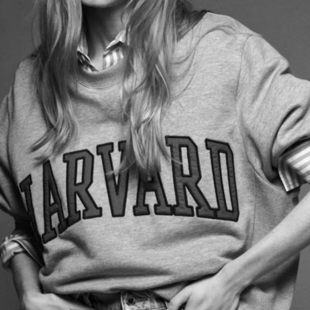 Sweatshirt från Zara som int längre finns att köpa på deras hemsida! Nyskick!!💞. Hoodies.