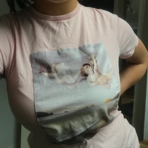 T-shirt med tryck - Snygg t-shirt med tryck på, passar perfekt på någon med S/M. Aldrig använd, från Na-kd. Frakt ingår inte i priset, köparen står för de själv. 