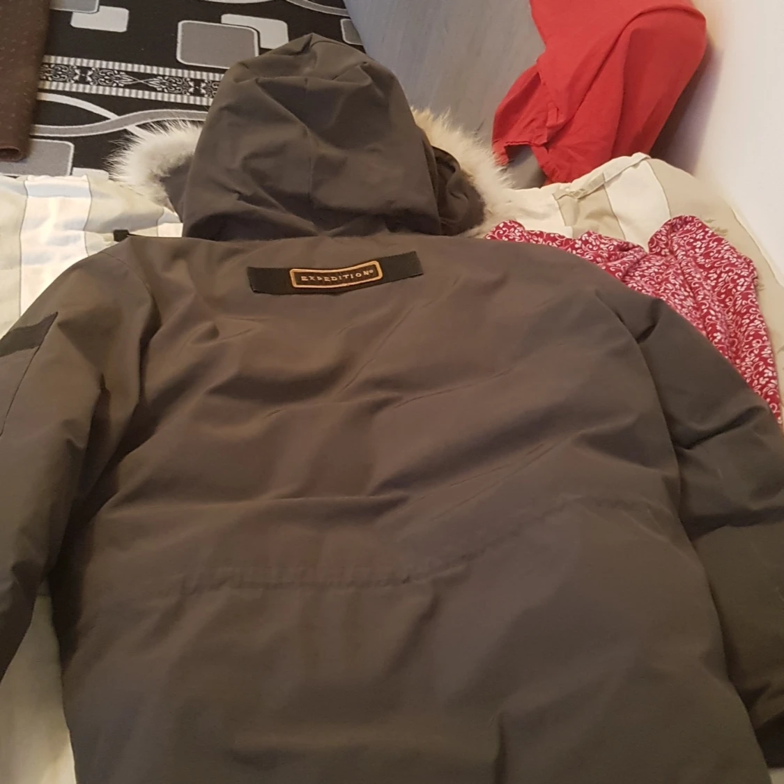 Canada goose expedition - 91