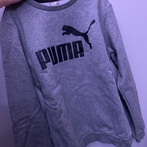 Grå Puma tröja  - Säljer min fina gråa tröja från puma, varit en favorit länge men känner att den krympt lite. 🥴❤️ Den är S men passar Xs/S beroende på hur man vill att den ska sitta. Den är Xl från barnavdelningen 