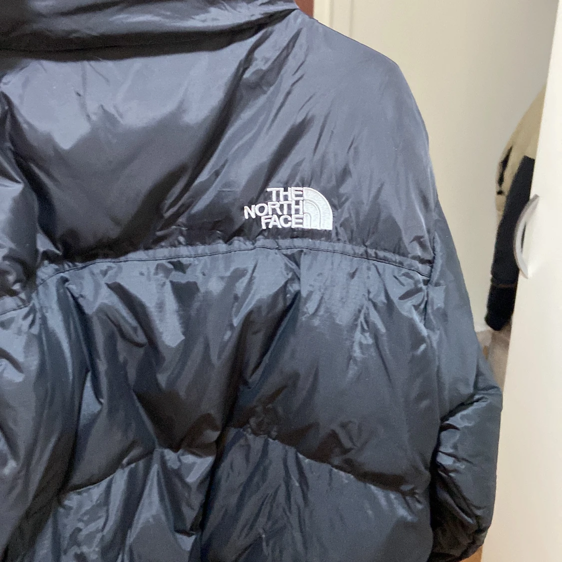 North face jacka Storlek L 700kr - 90