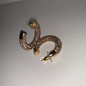 Glittriga örhängen  - Jättesnygga örhängen som jag inte använder! 