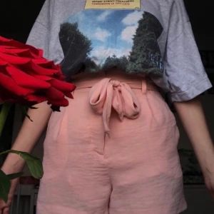 rosa shorts  - ett par rosa, somriga shorts i nått slags mesh material. lite repor på baksidan med de syns knappt! man kan ta av bältet. köpte de på bik bok för några år sedan men de passar inte riktigt min stil längre. 