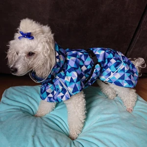 Hund regnjacka storlek 35  - Använt endast en gång under en kvällspromenad på 30minuter! Köpt på arken zoo för 399kr.  Går att ställa in rätt storlek på midjebandet, runt halsen och bakbens banden.  Passar perfekt på min dvärgpudel, som är 35 cm från manke till svans. Har reflexer och bra hög halskrage. Perfekt på våren, sommar och tidig höst som vind och regnjacka. 