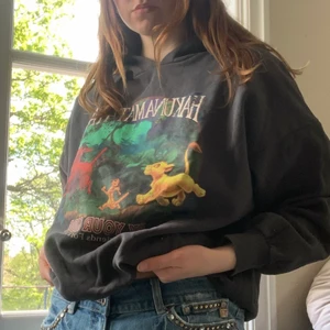 Superfin hakunsmatata tjocktröja - En hakunamatata tröja köpt från pull&bear för något år sedan. Den har luva och är ficklös. Lappen säger att storleken är L, men jag skulle säga att den är mer åt M-S hållet eftersom den är mer av en magtröja. Frakt ingår inte i priset