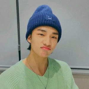 SÖKES - Hej, jag söker straykids photo cards dom måste vara äkta :) priset kan vi senare diskutera (inge wo*Jin) 