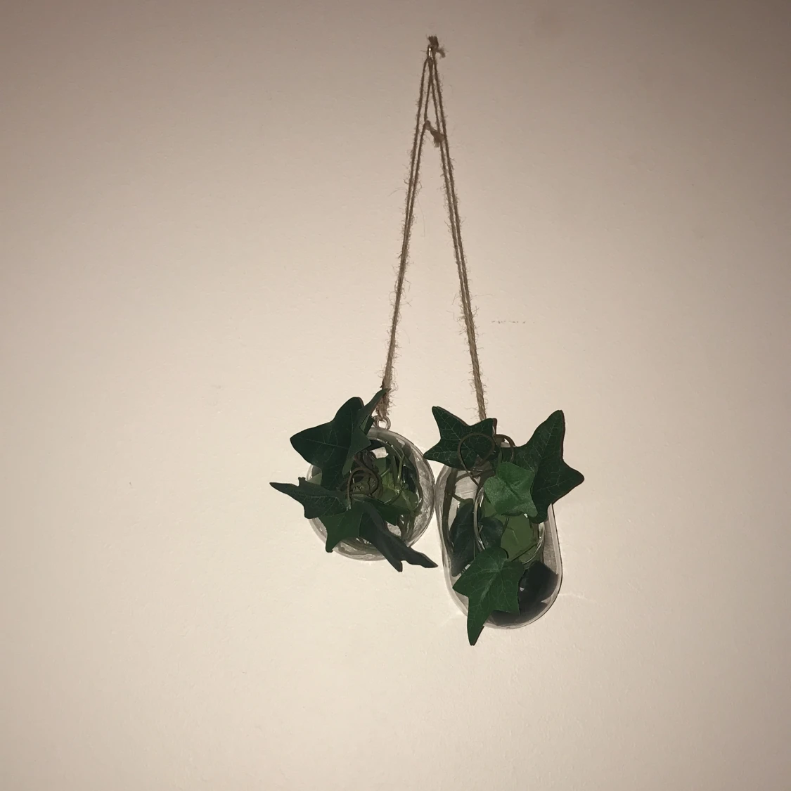 Växt dekoration säljes! 