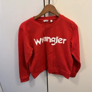 Fin  hoodie - En fin hoodie som har används vid bara 3 tillfällen 