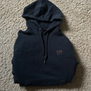 Hov1 Hoodie - Hov1 Around The World Tour hoodie i fint skick!   Stl S!🫶🏻