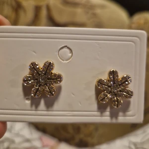 Storgatan 69 - Nya öronghenge för finna guldig bakifrån silver framme och kommer 2st