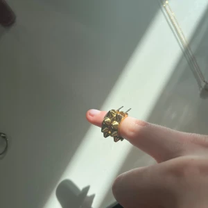 Örhängen ifrån Edblad - Säljer dessa örhängen som är köpta från Edblad, använda cirka tre gånger och rengörs innan jag postar ☺️