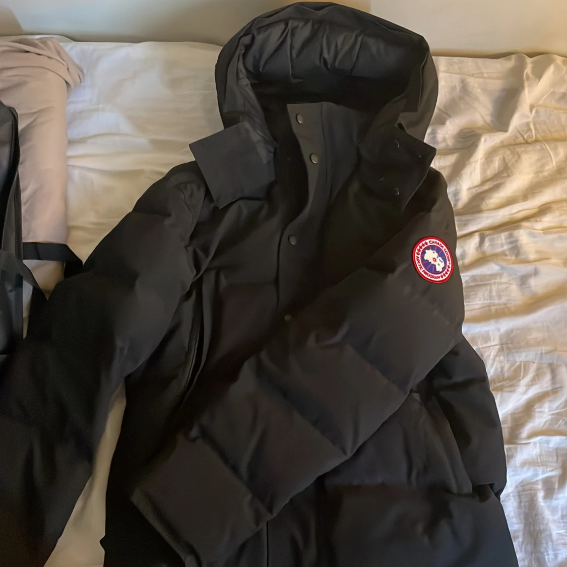 Canada goose blac - 90