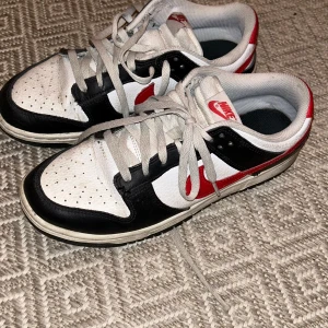 Nike Dunk Retro Low - köpta 2023, kan tänkas gå lägre pris och mötas