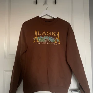 Brun Alaska sweatshirt❤️ - Fint skick! Fett skön:)