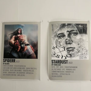 Poster - As snygga posters⭐️150kr för båda eller 100kr/styck mått 30x42cm