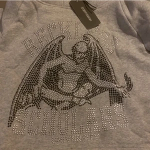 Reckless scholars hoodie - Köpte för några år sedan men kommer ej till användning då det inte är min stil längre!  Har en likadan i blå