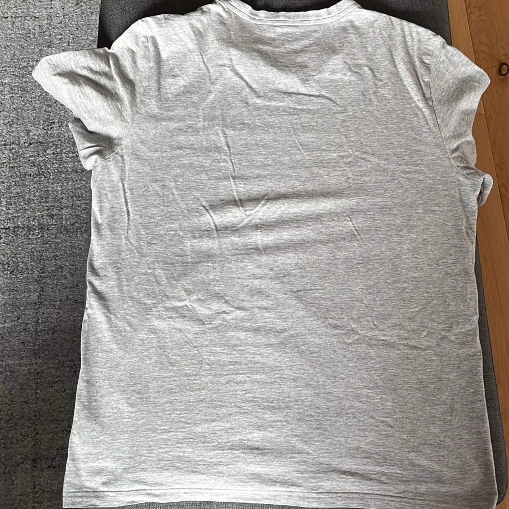 Grå Ralph Lauren T-shirt i storlek XL men passar också L den är i helt okej skick . T-shirts.