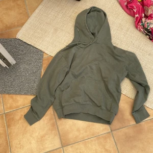 Hoodie - Fint skick och fin färg 