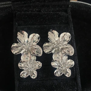 Örhängen  - Örhängen köpta av en tjej här på plick, endast testade! 