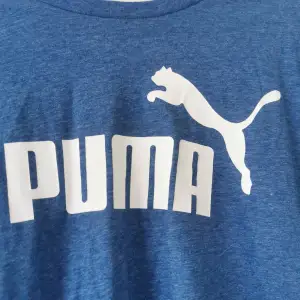 Puma t-shirt Storl M Katt finns i hemmet 